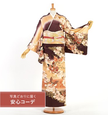 【写真どおりに届く安心コーデ】訪問着レンタル　訪問着LLサイズ　桜、蝶、撫子、萩