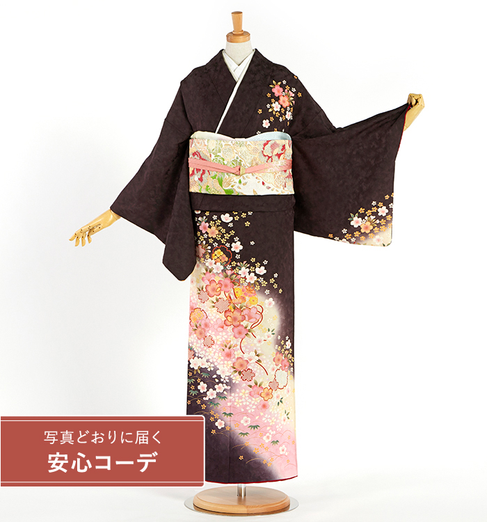 【写真どおりに届く安心コーデ】訪問着レンタル　訪問着Lサイズ　鈴、雪輪、桜、梅、笹