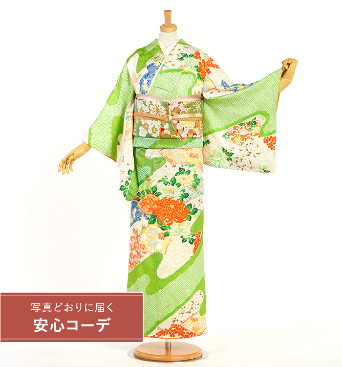 【写真どおりに届く安心コーデ】訪問着レンタル　訪問着Sサイズ　道長取り、菊、牡丹、桜、杜若、地紙