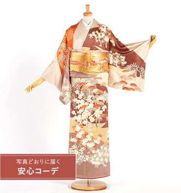 【写真どおりに届く安心コーデ】訪問着レンタル　訪問着Lサイズ　松竹梅、桜、柳、楓、萩