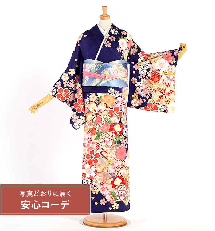 【写真どおりに届く安心コーデ】訪問着レンタル　訪問着Sサイズ　牡丹、菊、桜、熨斗