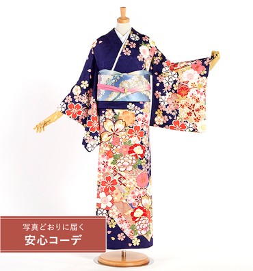 【写真どおりに届く安心コーデ】訪問着レンタル　訪問着Sサイズ　牡丹、菊、桜、熨斗