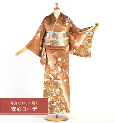 【写真どおりに届く安心コーデ】訪問着レンタル　訪問着LLサイズ　鳳凰、桜、波文、鴛鴦