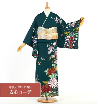 【写真どおりに届く安心コーデ】訪問着レンタル　訪問着Mサイズ　すずめ、菊、桜、水仙、たんぽぽ
