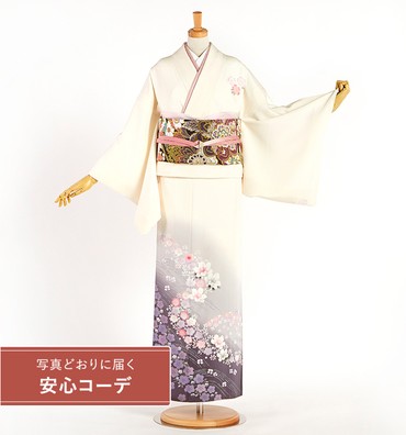 【写真どおりに届く安心コーデ】訪問着レンタル　訪問着LLサイズ　桜、波文、梅