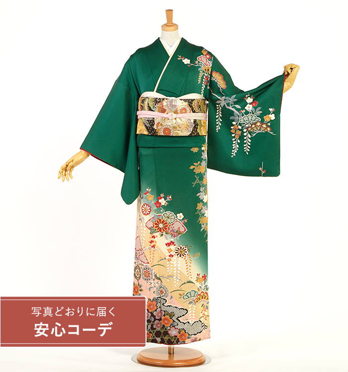 【写真どおりに届く安心コーデ】訪問着レンタル　訪問着Lサイズ　菊、地紙、藤、松竹梅、桜、雲取り、華文