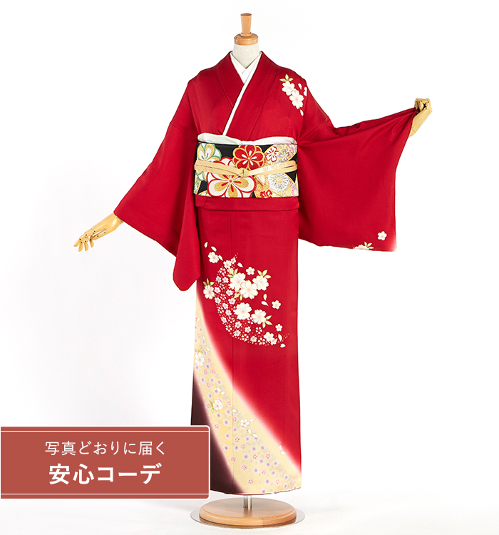【写真どおりに届く安心コーデ】訪問着レンタル　訪問着Lサイズ　桜