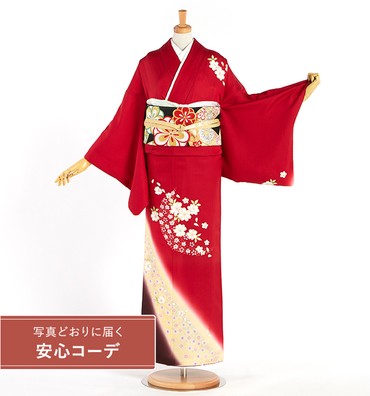 【写真どおりに届く安心コーデ】訪問着レンタル　訪問着Lサイズ　桜