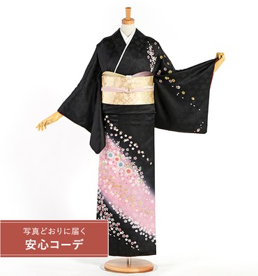 【写真どおりに届く安心コーデ】訪問着レンタル　訪問着Lサイズ　桜、菊