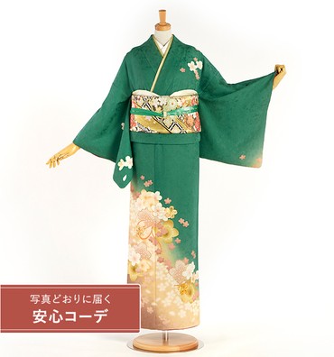 【写真どおりに届く安心コーデ】訪問着レンタル　訪問着Lサイズ　桜尽くし
