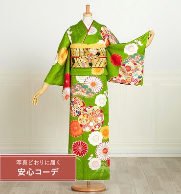 【写真どおりに届く安心コーデ】訪問着レンタル　訪問着Lサイズ　橘、菊、松竹梅
