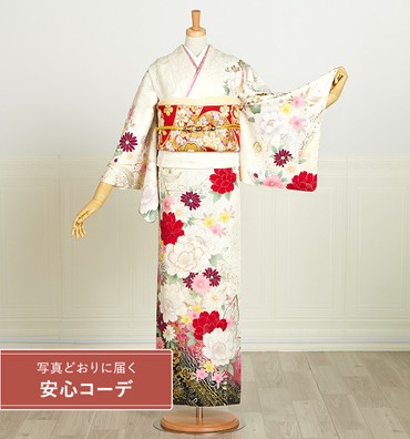 【写真どおりに届く安心コーデ】訪問着レンタル　訪問着Mサイズ　菊、牡丹、流水