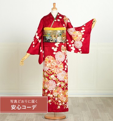 【写真どおりに届く安心コーデ】訪問着レンタル　訪問着LLサイズ　万寿菊、花