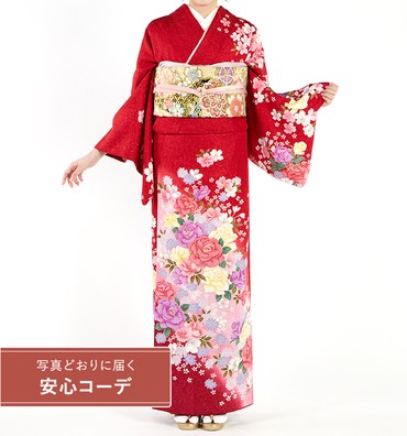 【写真どおりに届く安心コーデ】訪問着レンタル　訪問着Lサイズ　牡丹、桜、牡丹