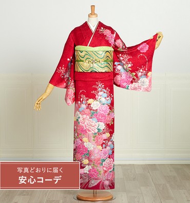 【写真どおりに届く安心コーデ】訪問着レンタル　訪問着Mサイズ　牡丹、草花