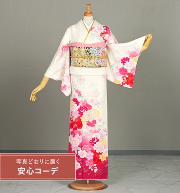 【写真どおりに届く安心コーデ】訪問着レンタル　訪問着Mサイズ　牡丹、菊