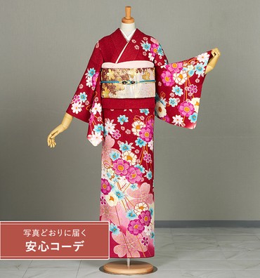 【写真どおりに届く安心コーデ】訪問着レンタル　訪問着Mサイズ　桜、梅
