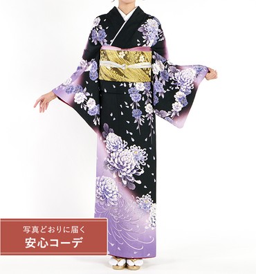 【写真どおりに届く安心コーデ】訪問着レンタル　訪問着LLサイズ　乱菊
