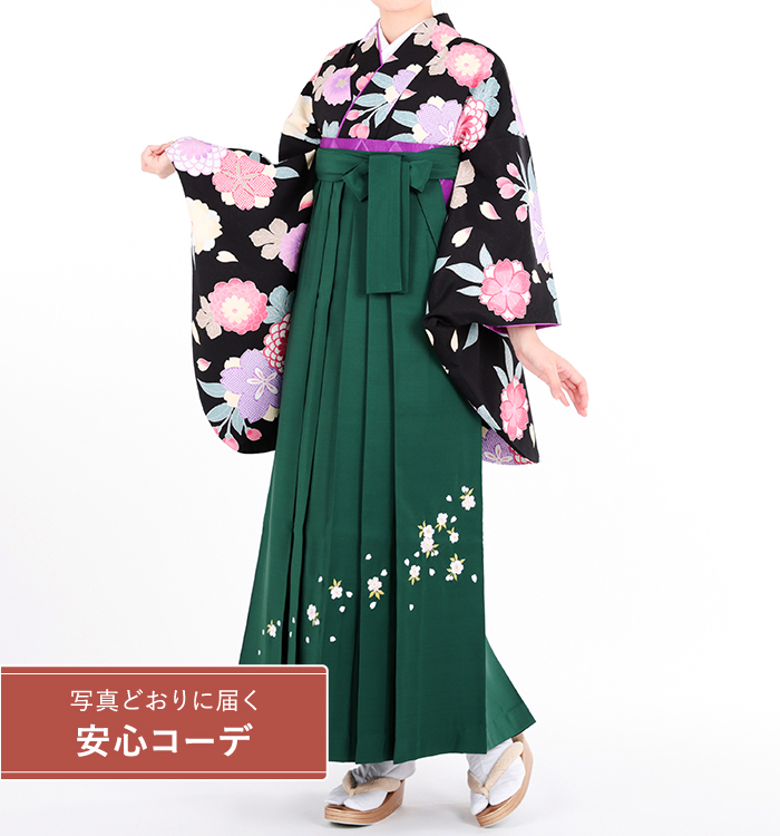 卒業式袴レンタル　小振袖Mサイズ＋袴セット　菊桜　黒