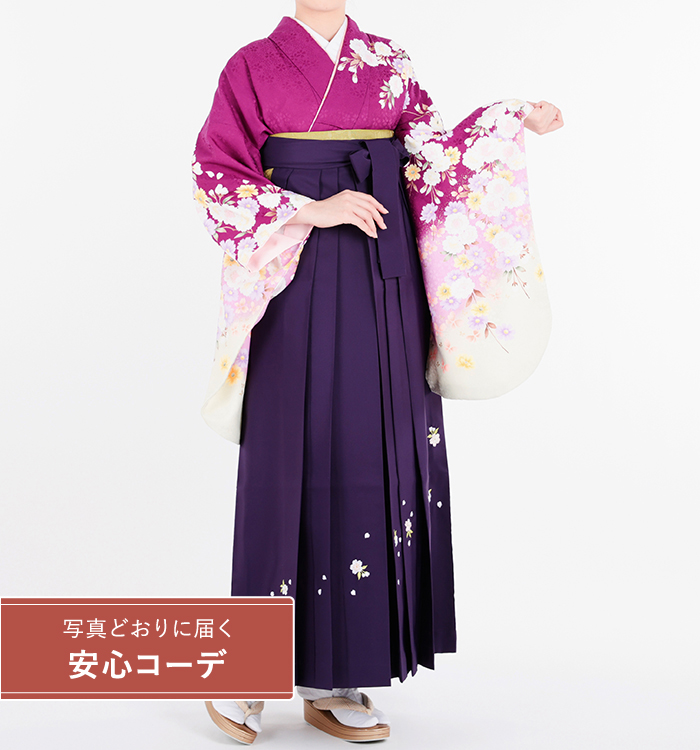 卒業式袴レンタル　小振袖Mサイズ＋袴セット　枝垂れ桜　紫
