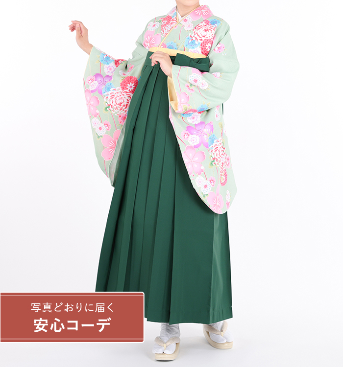 卒業式袴レンタル　小振袖Mサイズ＋袴セット　菊桜　黄緑