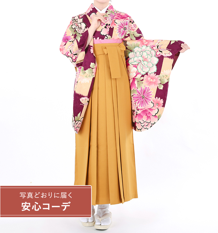 卒業式袴レンタル　小振袖Mサイズ＋袴セット　ブランド：Adam&Eve　市松に四季花　ベージュ/濃紫