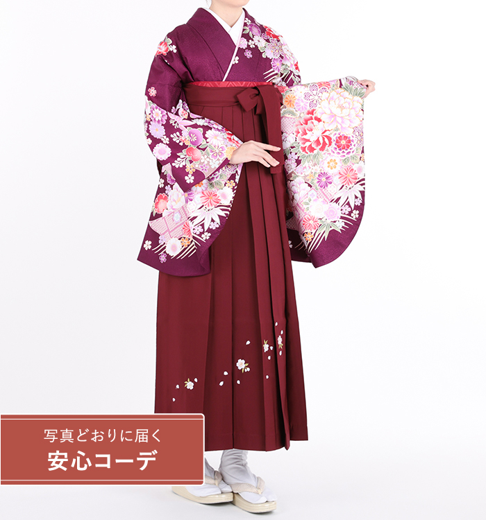 卒業式袴レンタル　小振袖Mサイズ＋袴セット　ブランド：anan　熨斗に四季花　紫