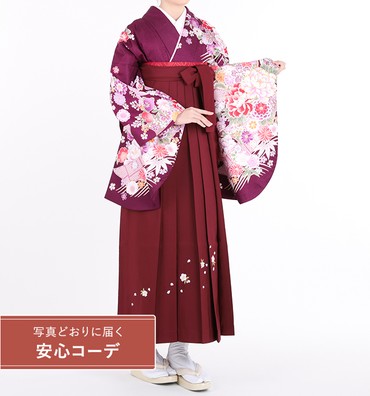 卒業式袴レンタル　小振袖Mサイズ＋袴セット　ブランド：anan　熨斗に四季花　紫