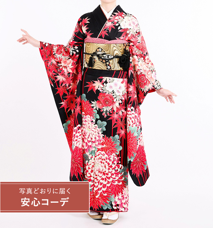 【写真どおりに届く安心コーデ】振袖レンタル　振袖Mサイズ　ブランド：CECIL McBEE　大菊　黒