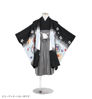 子供きもの　羽織着物袴セット　兜に菊梅　黒