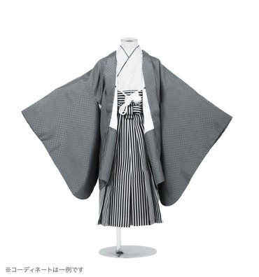 子供きもの　羽織着物袴セット　色紋付　銀鼠グレー