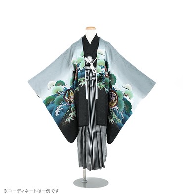 子供きもの　羽織着物袴セット　鷹　グレー/黒