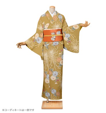 小紋レンタル　小紋Mサイズ　菊尽くし　桑茶色