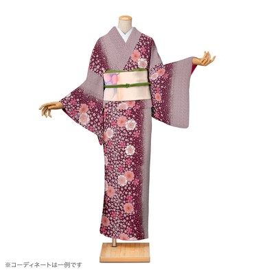小紋レンタル　小紋Mサイズ　鹿の子に桜　濃暗紅色