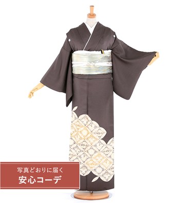 【写真どおりに届く安心コーデ】色留袖レンタル　色留袖Lサイズ　京友禅：七宝文様　濃グレー　五つ紋：桔梗