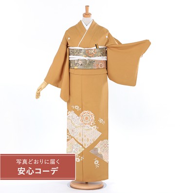 【写真どおりに届く安心コーデ】色留袖レンタル　色留袖LOサイズ　京友禅：裂取華紋　金茶　五つ紋：桔梗