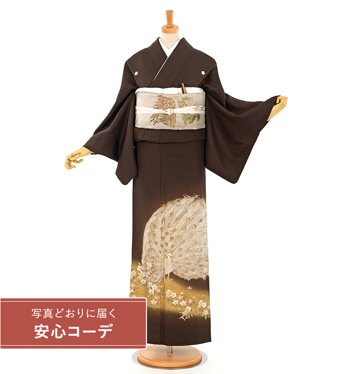 【写真どおりに届く安心コーデ】色留袖レンタル　色留袖Lサイズ　刺繍：孔雀　濃茶 五つ紋：桔梗