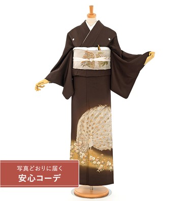 【写真どおりに届く安心コーデ】色留袖レンタル　色留袖Lサイズ　刺繍：孔雀　濃茶 五つ紋：桔梗