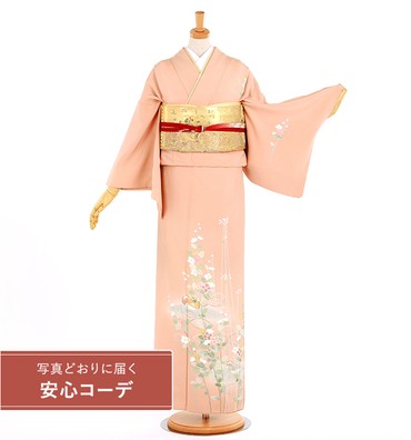 【写真どおりに届く安心コーデ】訪問着レンタル　訪問着Lサイズ　鴛鴦　サーモンピンク
