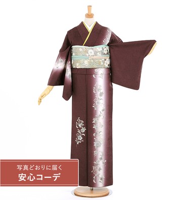 【写真どおりに届く安心コーデ】訪問着レンタル　訪問着Mサイズ　装飾華紋　濃赤紫