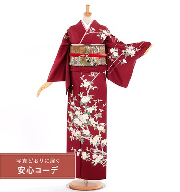 【写真どおりに届く安心コーデ】訪問着レンタル　訪問着Lサイズ　京友禅：仲町卓二　山茶花　濃エンジ