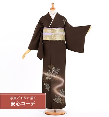 【写真どおりに届く安心コーデ】訪問着レンタル　訪問着Mサイズ　京友禅：松毬　濃茶