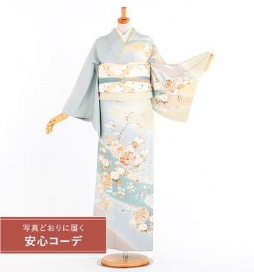 【写真どおりに届く安心コーデ】訪問着レンタル　訪問着Lサイズ　流水に雪輪四季草花　グレー