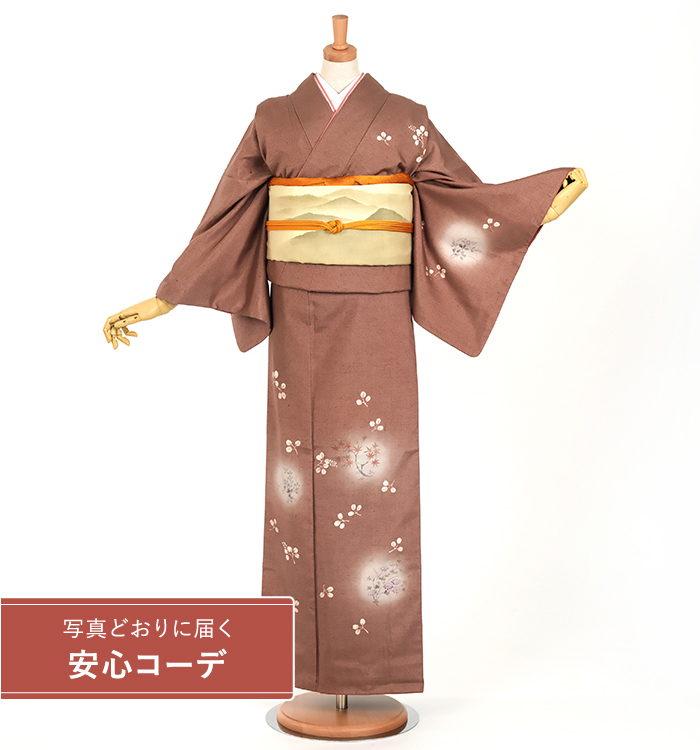 【写真どおりに届く安心コーデ】訪問着レンタル　訪問着Lサイズ　結城紬：秋の草花　赤茶