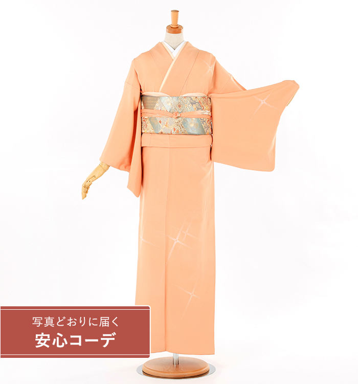 【写真どおりに届く安心コーデ】訪問着レンタル　訪問着LLOサイズ　刺繍：森康次　光文様　薄オレンジ