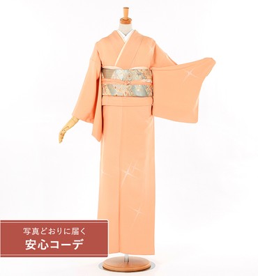 【写真どおりに届く安心コーデ】訪問着レンタル　訪問着LLOサイズ　刺繍：森康次　光文様　薄オレンジ