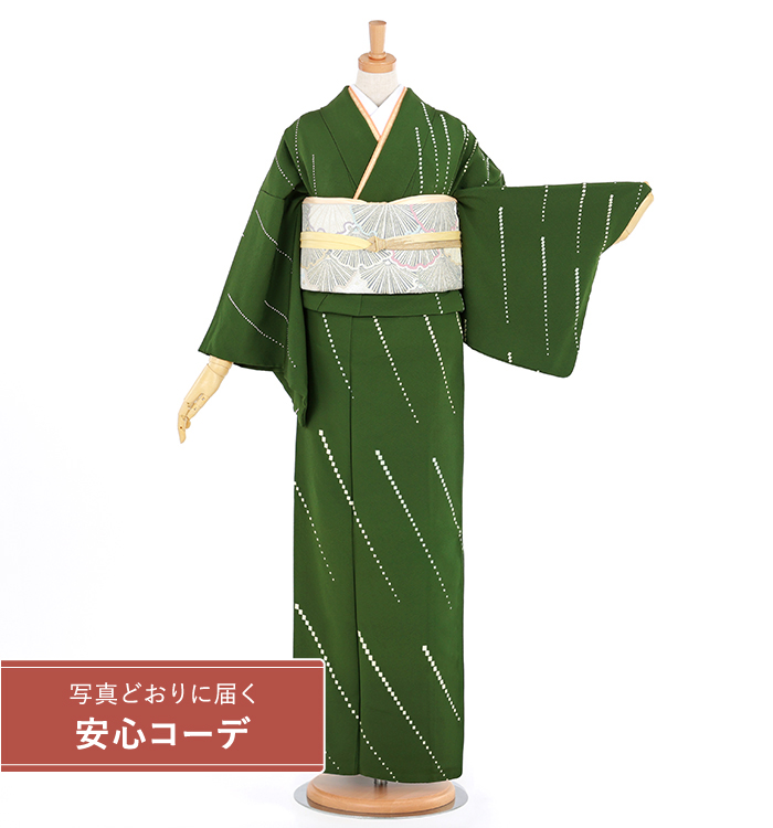 【写真どおりに届く安心コーデ】訪問着レンタル　訪問着Mサイズ　京刺繍：森康次　光文様　グリーン