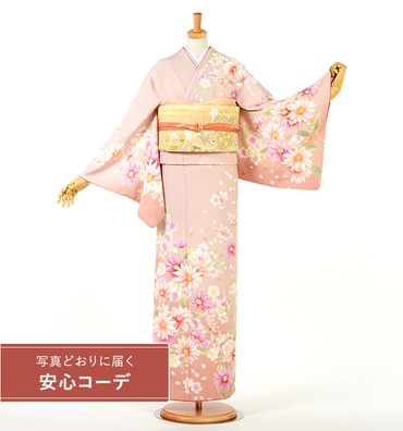 【写真どおりに届く安心コーデ】訪問着レンタル　訪問着LLOサイズ　菊桜舞　渋ピンク