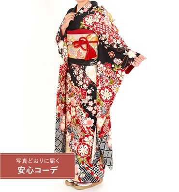 【写真どおりに届く安心コーデ】振袖レンタル　振袖Sサイズ　四季花鞠に花菱　黒