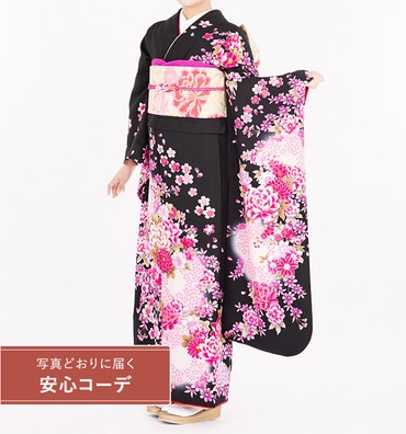 【写真どおりに届く安心コーデ】振袖レンタル　振袖Lサイズ　菊桜　黒/ピンク